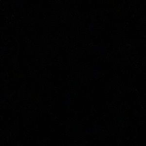 Meet your Posher, Tesia